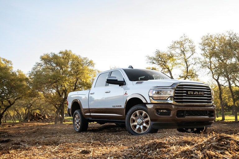 Snethkamp Chrysler Dodge Jeep Ram of Gaylord in Gaylord MI